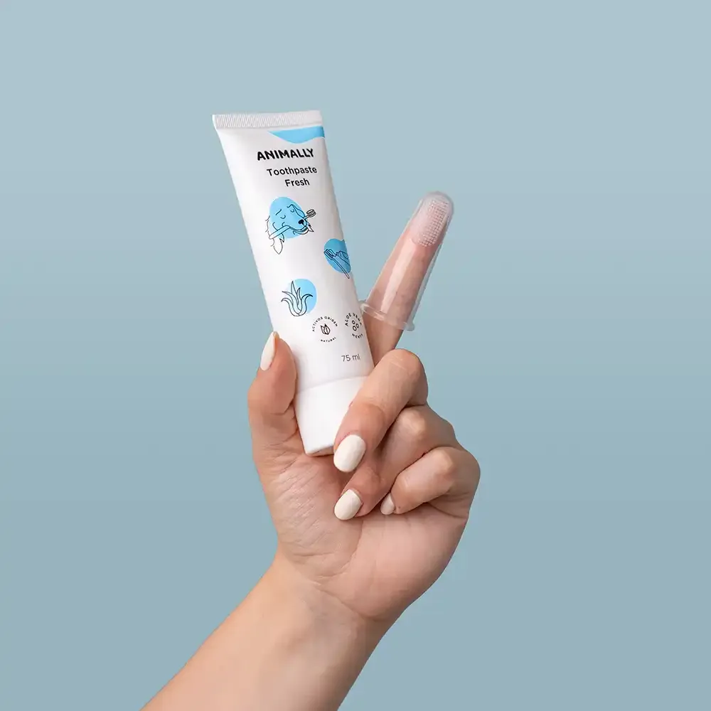 Toothpaste-fresh-1.webp