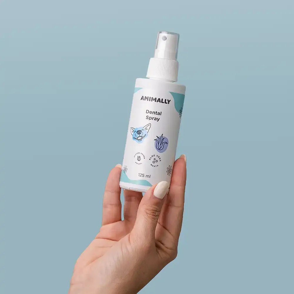 Dental-spray-fresh-1.webp